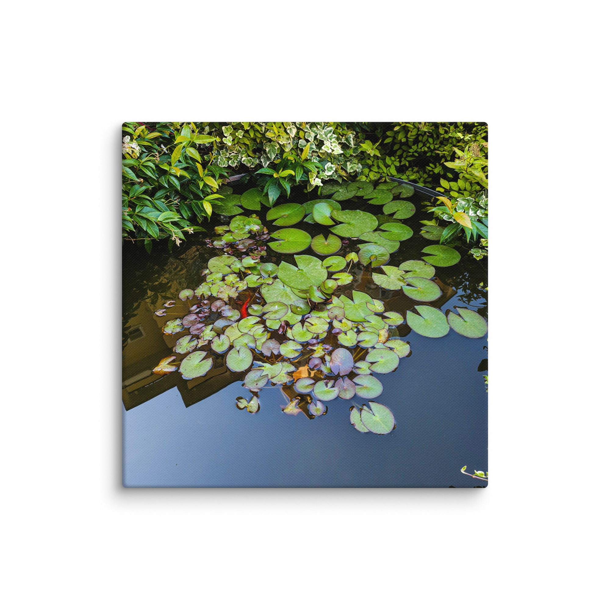 Canvas of a Pond and Lily Pads in Darfo Boario Terme Italy - Rosetta Creative Boutique